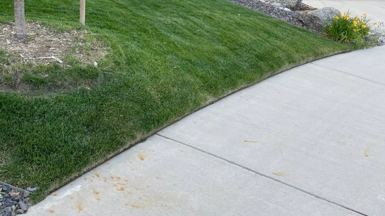 Freshly mowed lawn with crisp edging along the sidewalk in Windsor Colorado