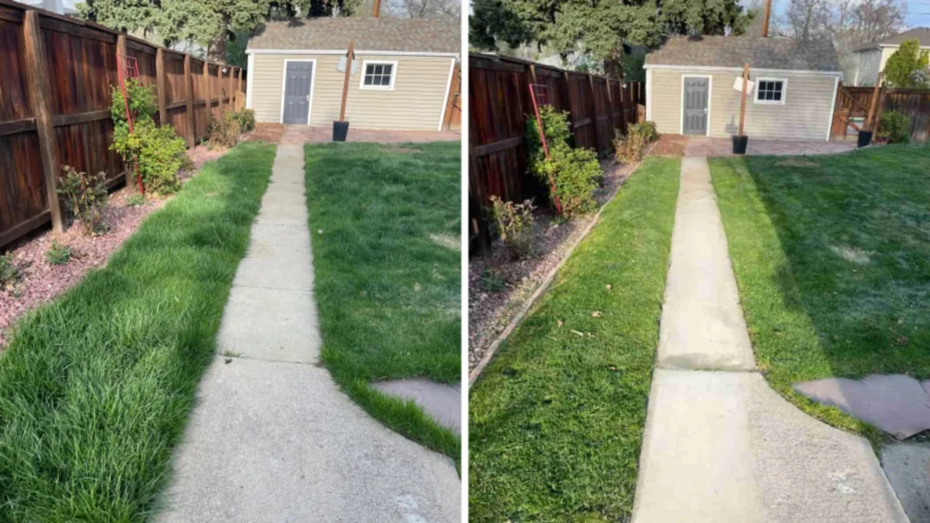 Beautiful before and after our weekly lawn mowing service in Timnath, Colorado.