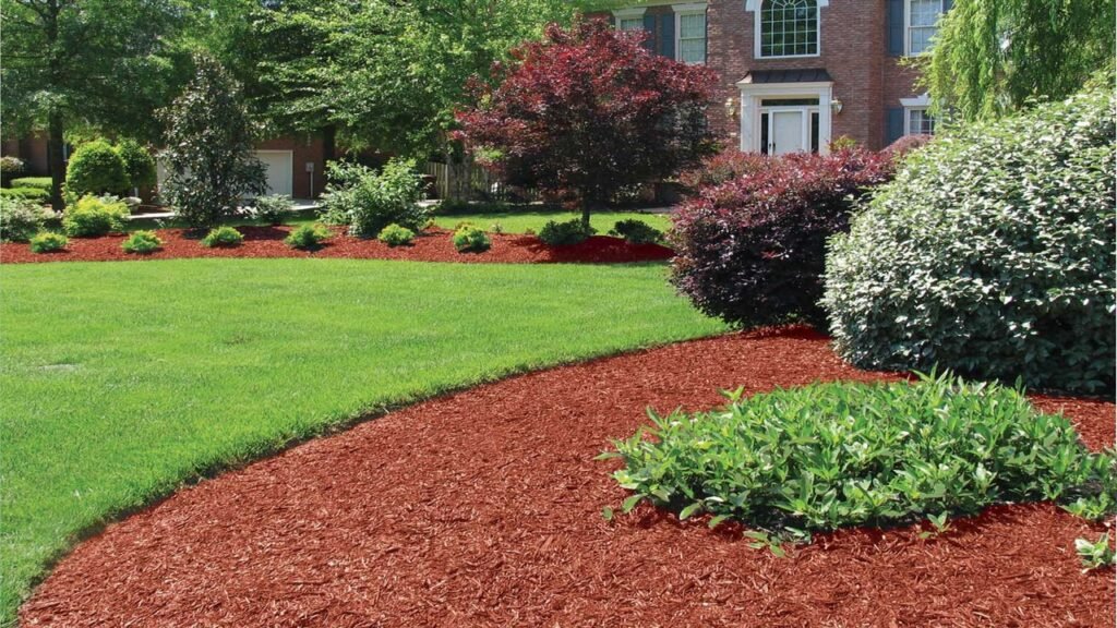 Fresh red mulch installation around shrubs and landscape beds at a residential home in Northern Colorado