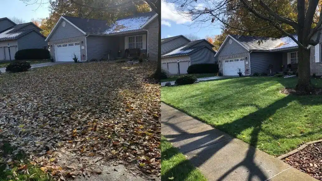Before and after fall leaf cleanup at a Fort Collins home, showing a lawn covered in leaves transformed into a clean, maintained yard by a Northern Colorado cleanup service.