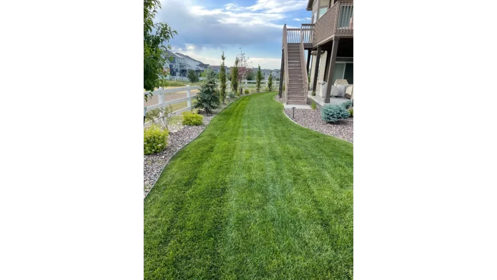 Full property landscape maintenance including mowing and rock bed edging in Fort Collins.