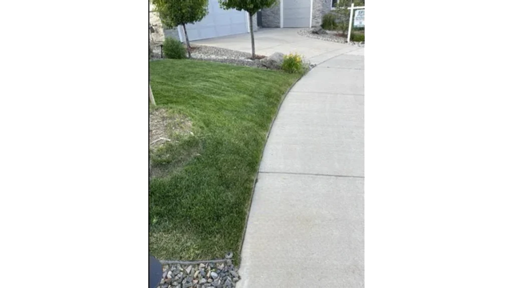 Precision lawn edging around a curved concrete driveway and landscape beds in Windsor.