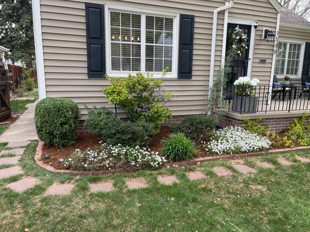 front-yard-curb-appeal-mulching-timnath Front yard landscaping in Timnath featuring blooming white Alyssum and fresh mulch in a foundation garden bed.