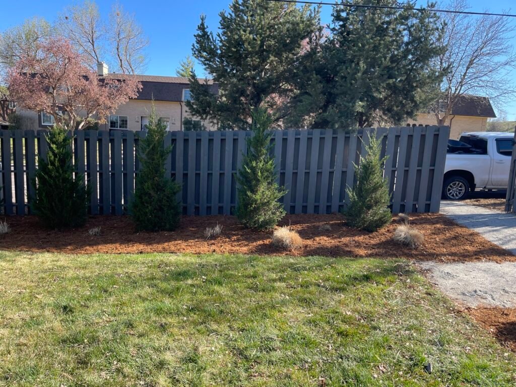 Close-up of fresh brown Gorilla Hair mulch and stone pathway in Windsor CO.