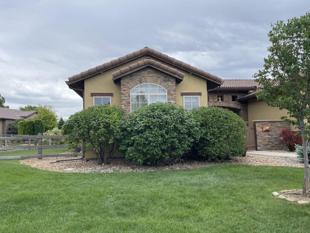 Professional bush trimming and hedge shaping for a luxury stucco home in Johnstown, Colorado.