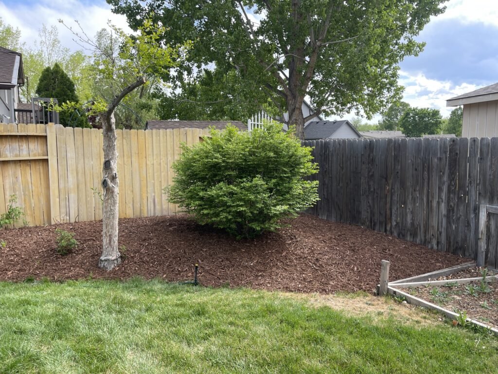 Professional residential mulch installation in a backyard garden bed in Windsor Colorado.