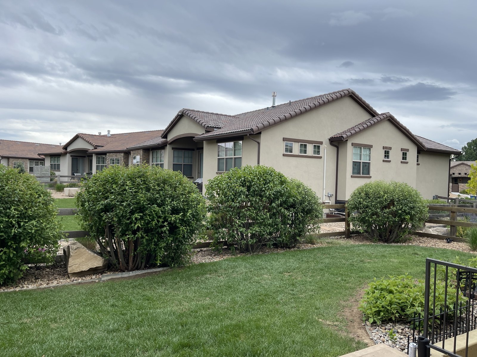 Expertly pruned large landscape bushes in the backyard rock bed of a residential home in Johnstown, Colorado.