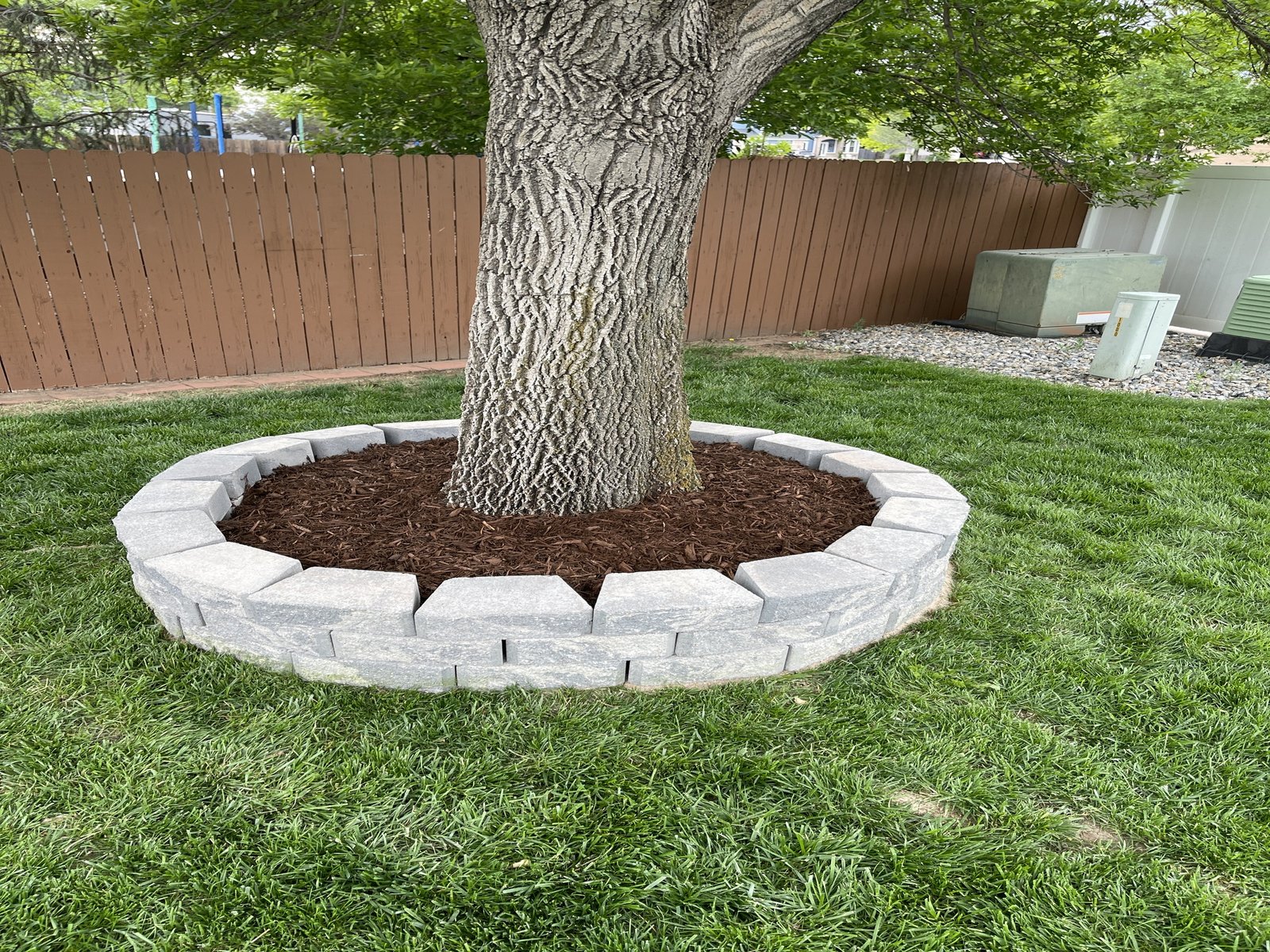 Decorative brick installation for a tree ring with mulch and professional landscaping in Windsor Colorado.