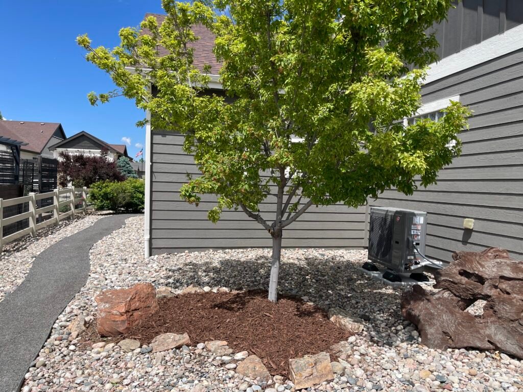 Side yard landscaping featuring a gravel walkway, river rock beds, a mulch ring around a pruned tree, and natural rock accents next to a residential home in Timnath.