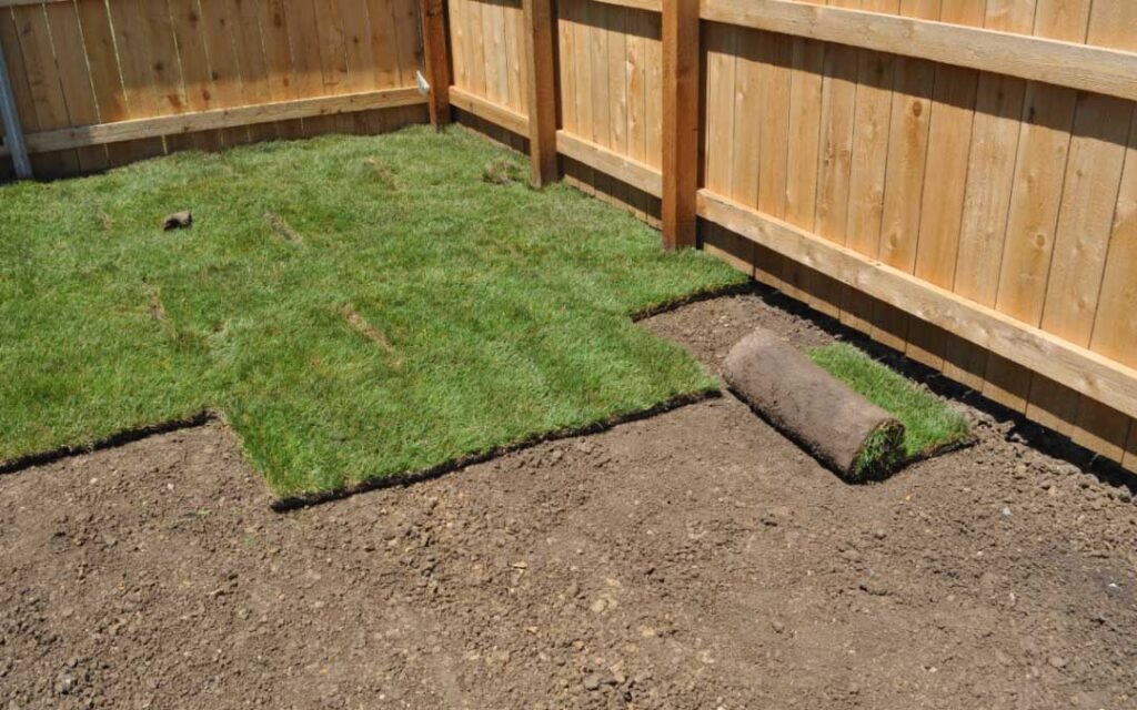 Professional landscape crew laying new sod rolls along a wooden fence line on freshly tilled and graded soil in a Northern Colorado backyard.